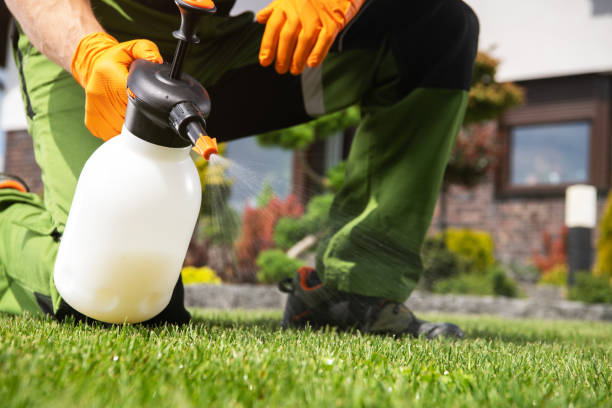 Best Pest Exclusion Services  in De Kal, TX